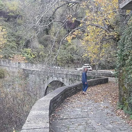 Garavelas Home Το σπιτι στην Καστανιανη Μαστοροχωρια Κονιτσα Apartamento