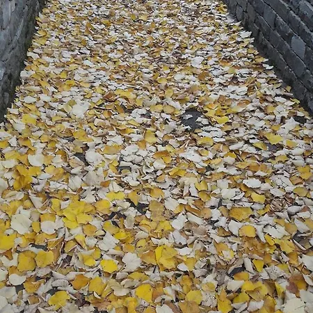 Garavelas Home Το σπιτι στην Καστανιανη Μαστοροχωρια Κονιτσα Appartement