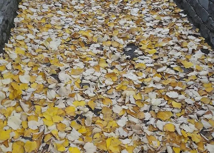 Garavelas το σπιτι στην καστανιανη μαστοροχωρια κονιτσα Lejlighed